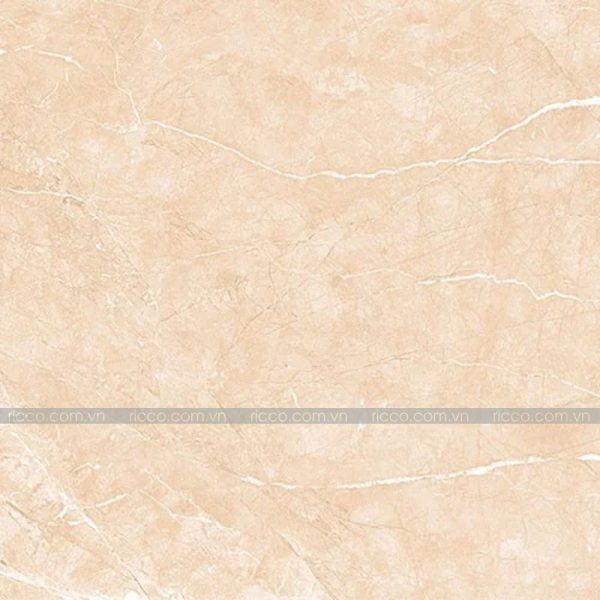 Gạch lát nền Ấn Độ 80x80cm Alcora Marble Beige 80