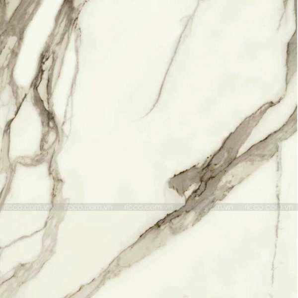 Ricco Minh Hải cung cấp gạch lát nền italy 120x120cm PRCALUC trắng vân đá marble